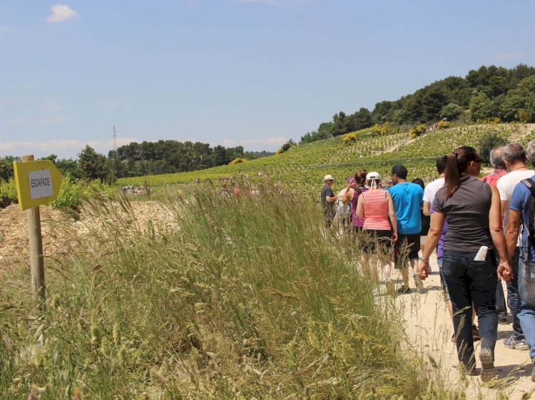 Ouverture des inscriptions en ligne à « l’Escapade des Gourmets 2024 » !