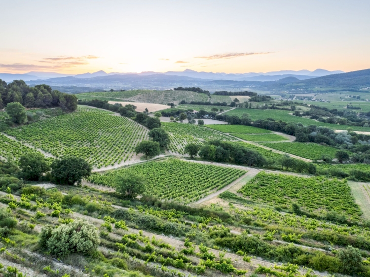 La biodiversité de Rasteau : l'une des plus belles de la Vallée du Rhône