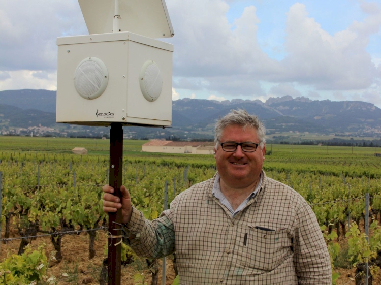 La génodique ou l’art de soigner la vigne par la musique…