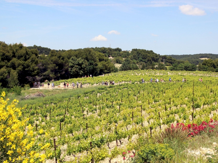 Dans les coulisses de « l’escapade des gourmets » 2018