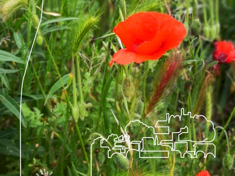 Quel sera le thème du nouveau visuel Rasteau en 2022 selon vous ?