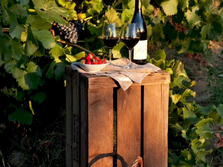 Rasteau, Terre de vin et d’oenotourisme avec Vaucluse Provence Attractivité