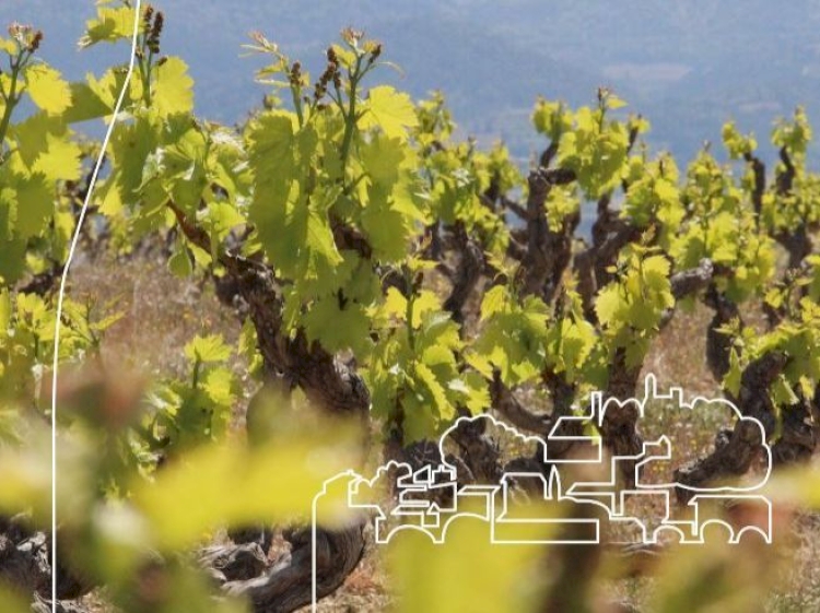 Un nouveau visuel institutionnel pour l’A.O.C Rasteau !