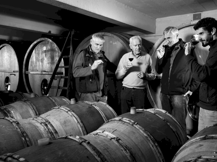 Daniel, Frédéric et Victor COULON – Domaine de Beaurenard … Parlons ‘Biodynamie’ et ‘Transmission’ (2/2)