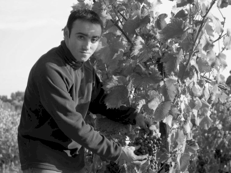 Frédéric ROMERO – Domaine la Soumade