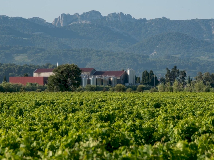 Les vignerons de Roaix-Séguret