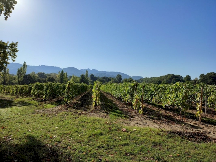 Château du Trignon – Famille QUIOT