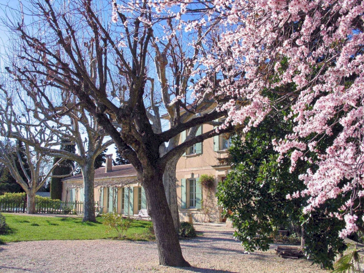 Château du Trignon – Famille QUIOT