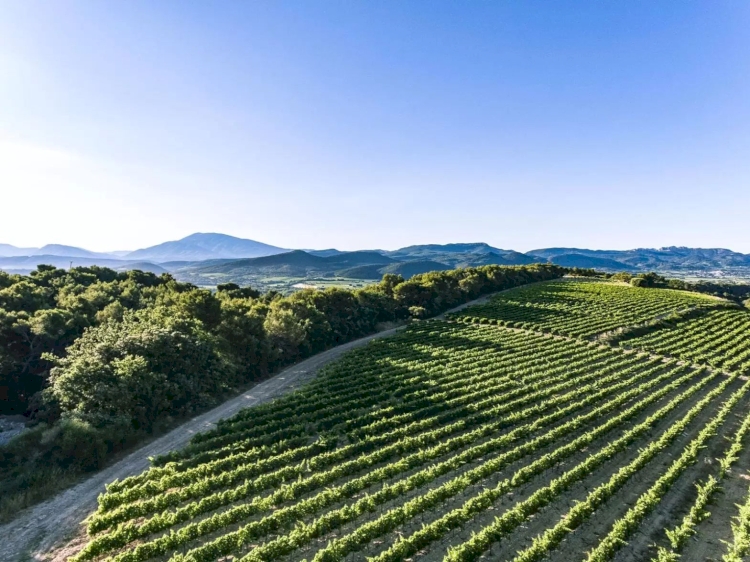 Domaine des Escaravailles