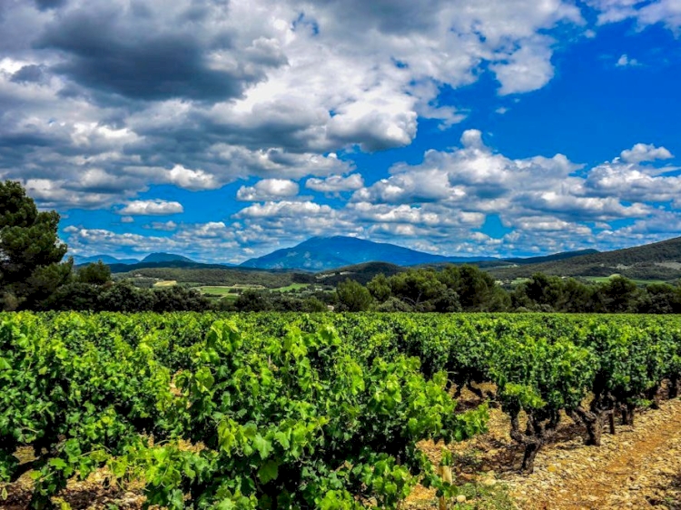Domaine Elodie Balme