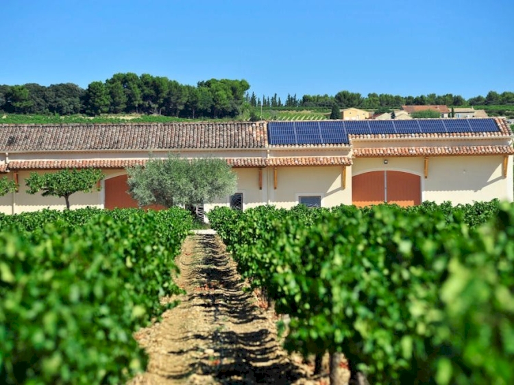 Domaine Elodie Balme
