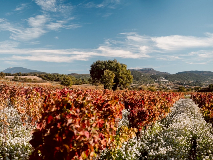 Domaine la Luminaille