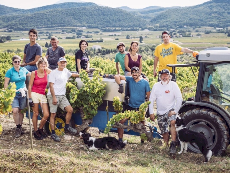 Domaine des Girasols