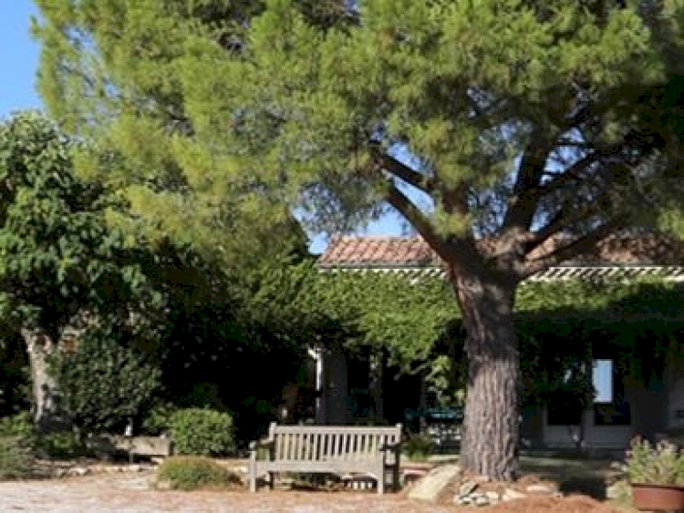 Domaine des Girasols