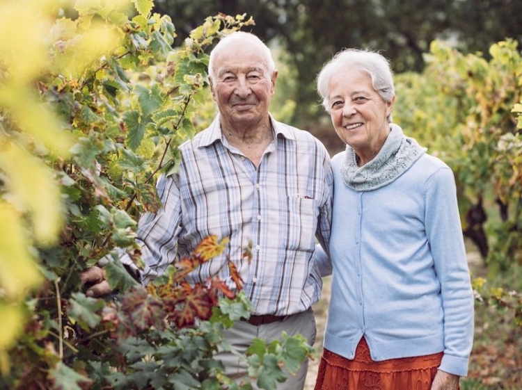 Domaine des Girasols