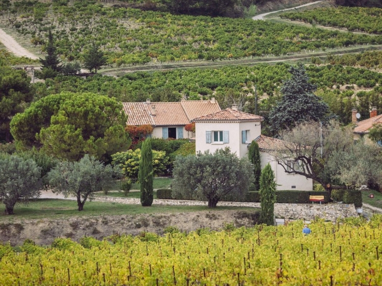 Domaine des Girasols