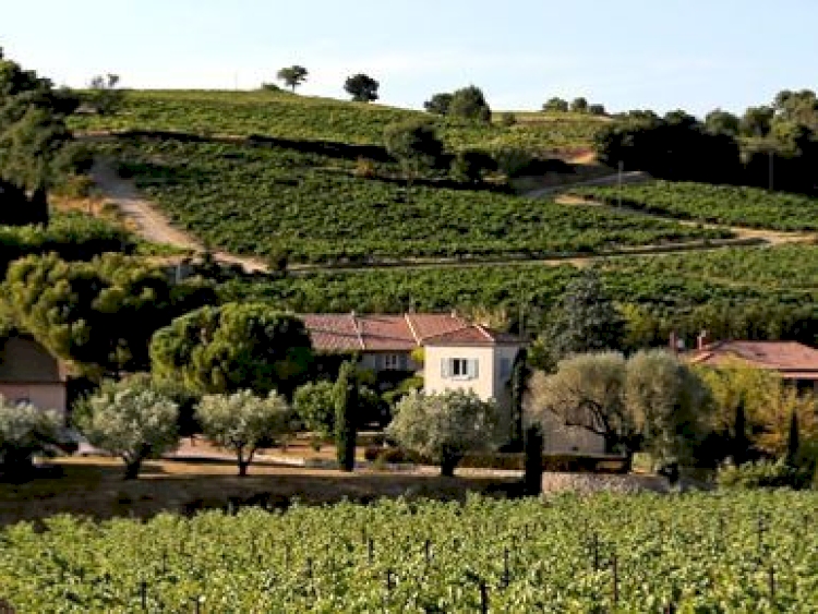 Domaine des Girasols