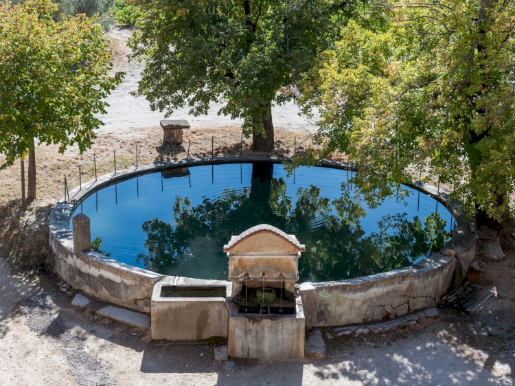 Domaine La Font de Notre Dame