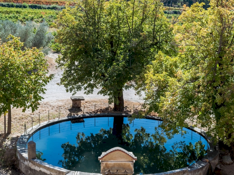 Domaine La Font de Notre Dame