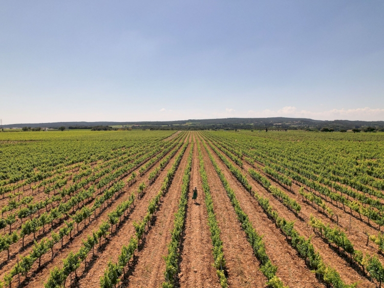 Domaine Les Grands Bois