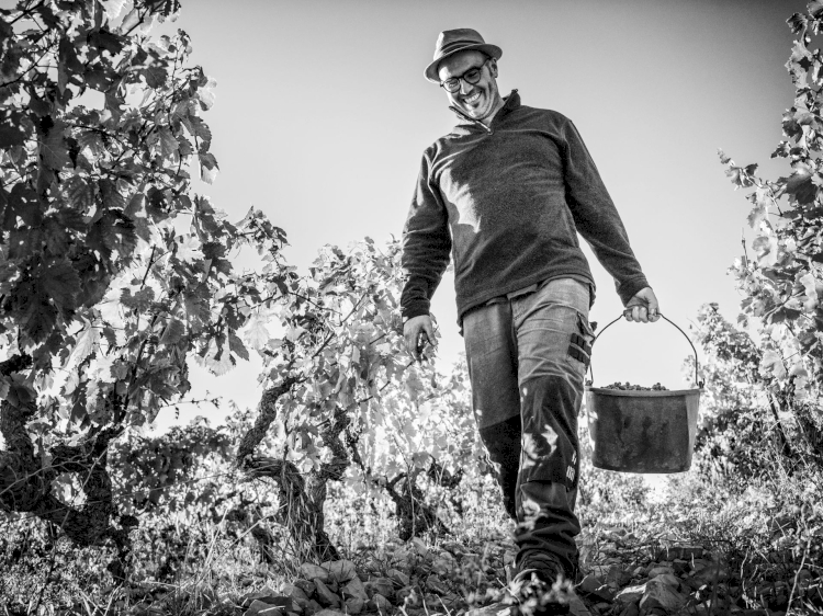 Domaine Chamfort Vasco Perdigao