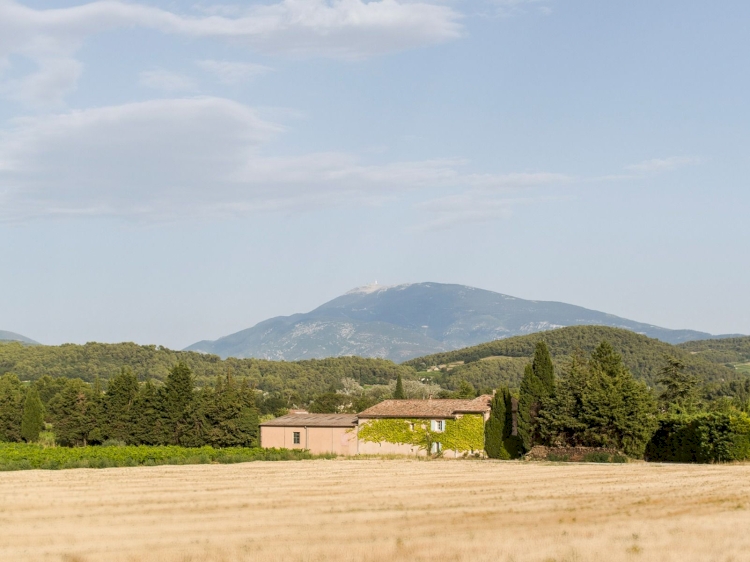Domaine Pique-Basse