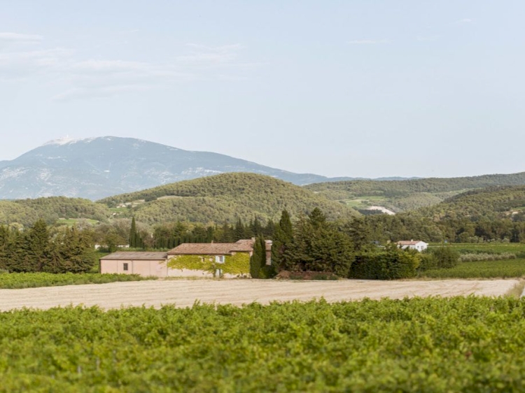 Domaine Pique-Basse