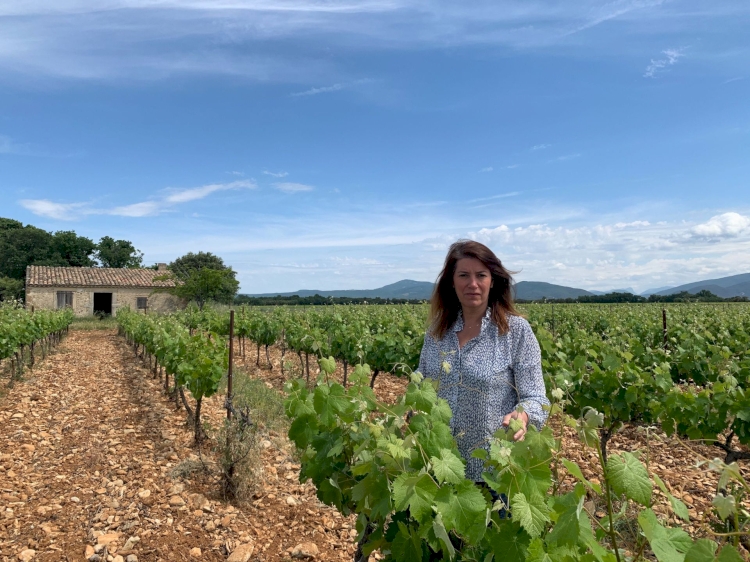 Domaine Caroline Bonnefoy
