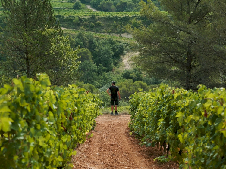 Domaine Gramiller