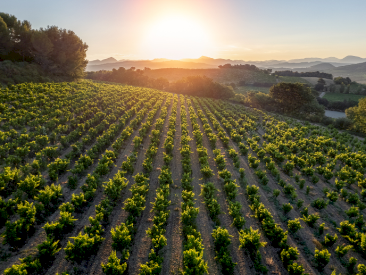 Domaine Mikael Boutin