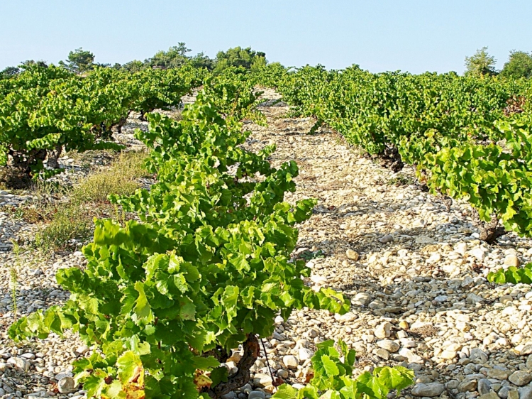 Domaine Grand Nicolet