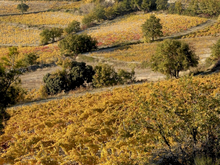 Domaine La Soumade