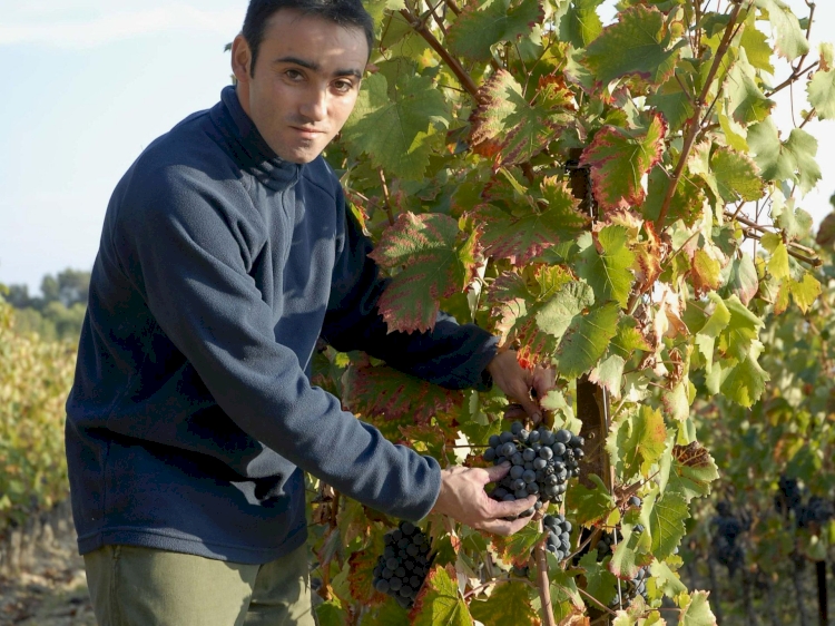 Domaine La Soumade