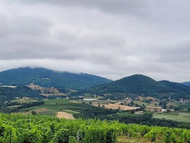 Domaine Grange Blanche