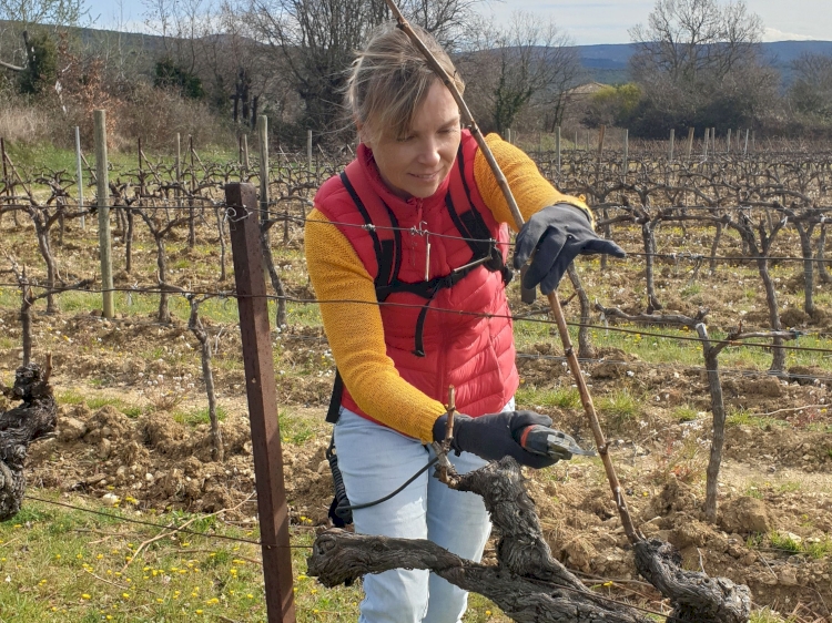 Domaine Purviti