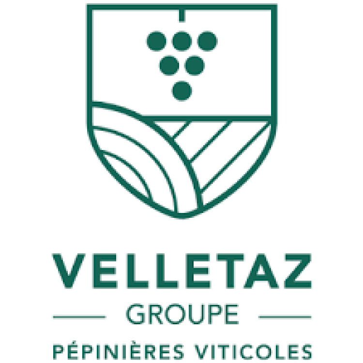 Velletaz